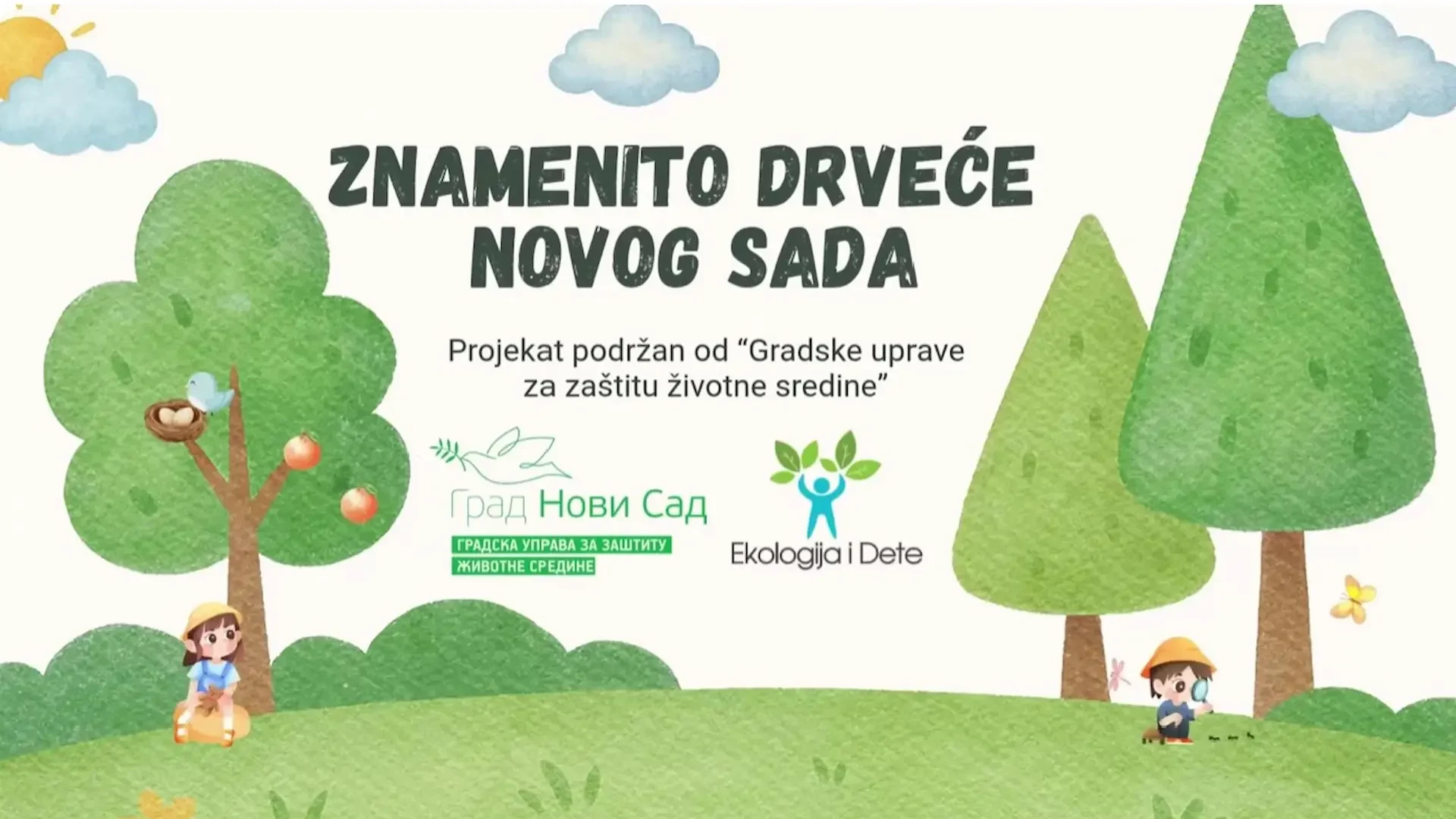 Od četinara do imele – pet priča o drveću koje oblikuje zeleni identitet Novog Sada