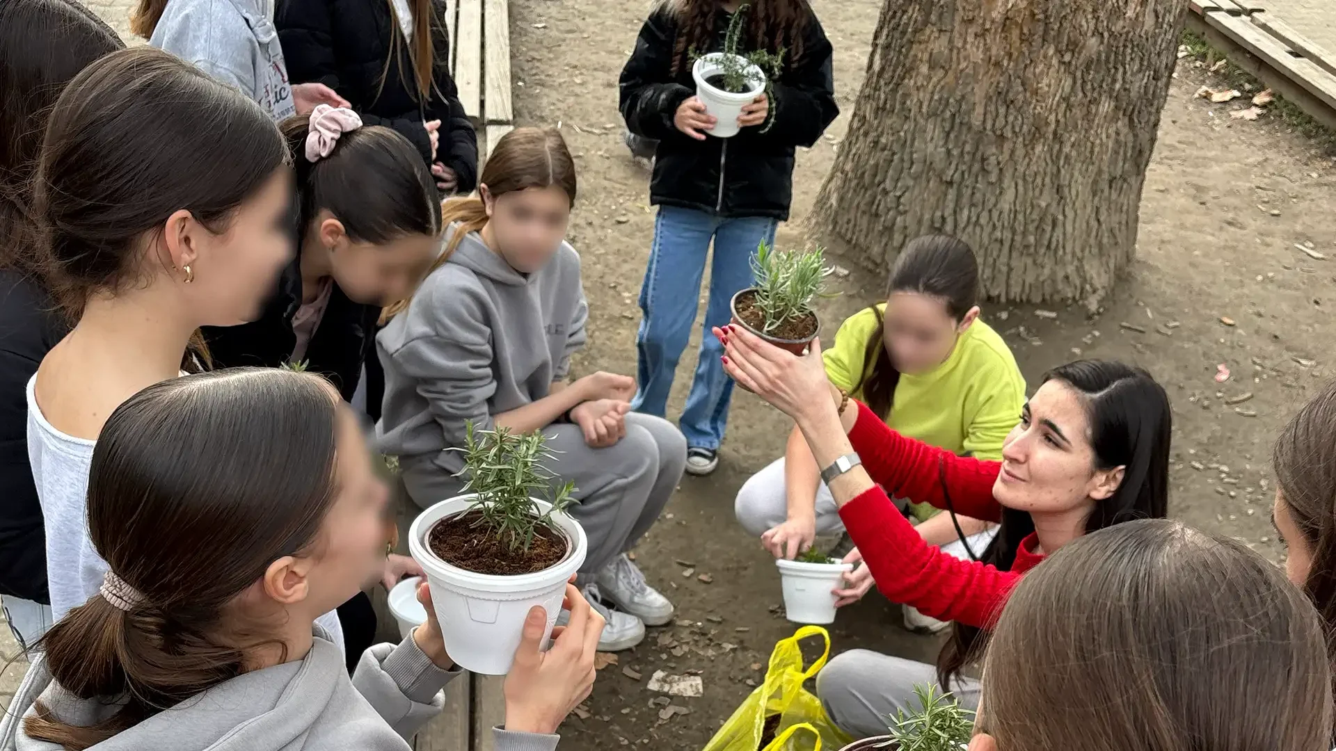 Radionice „Sadimo zajedno“ održane u OŠ „Petefi Šandor“ u Novom Sadu